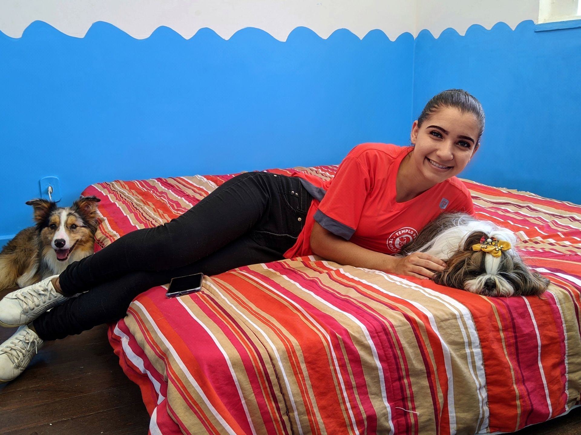 hospedagem pet, dog